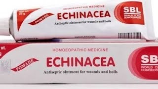 Sbl Echinacea ointment for woundboilsinsect stingsDrRicha shorts skinproblemsshortfeed [upl. by Kerad225]