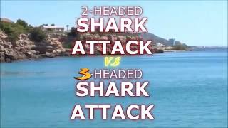 720pHD 2 Headed Shark Attack vs 3 Headed Shark Attack Official Music Video [upl. by Juta]