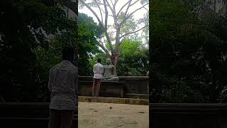 srilanka koggala travel traveler budhism temple freedom relaxing 🙏🙏💮🌼 [upl. by Marlyn31]