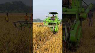 Swaraj Pro Combine 7060 Harvester Powerful Harvesterharvestar viralshotsPrakasherYatra [upl. by Guidotti]