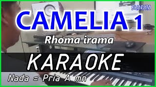 CAMELIA 1  Rhoma irama KARAOKE DANGDUT COVER Pa800 [upl. by Aerised]