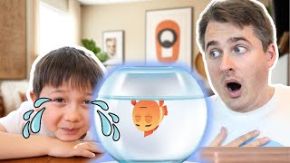 I Lost My Pet  Kids Songs and Nursery Rhymes by Papa Joels English [upl. by Pepillo182]