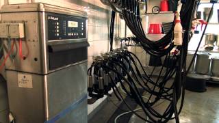 DeLaval Milking Machine Cleaning Unit [upl. by Ojahtnamas]