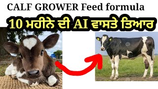 calf grower feed formula homemade feed [upl. by Anwad]