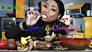 Green lip Mussels Clams lobster and potatoes 2 [upl. by Chouest195]