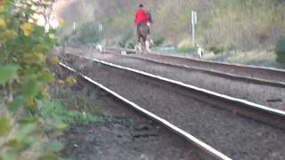 South Durham Hunt Trespass on Railway Line [upl. by Ennovehc987]