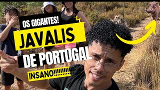 Caça aos javalis gigantes de PORTUGALaventura insana [upl. by Moor223]