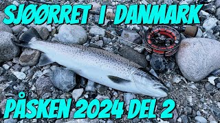 FiskeFreak i Danmark  Påsken 2024  Del 2 [upl. by Suolkcin431]