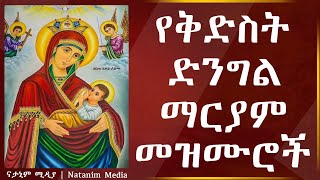 Ye Kidist dengel mariyam mezmur  የቅድስት ድንግል ማርያም መዝሙሮች  New Ethiopian Orthodox Tewahedo Mezmur [upl. by Oenire452]