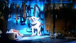 Beverly Hills Chihuahua  Disney Channel Preview [upl. by Edyaw739]