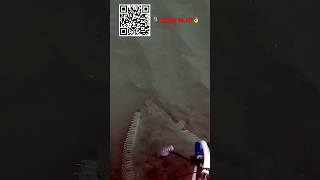 Spearfishing Halibut with friends spearfishing fishing diving fish scubadiving share live ￼￼ [upl. by Atrebla391]