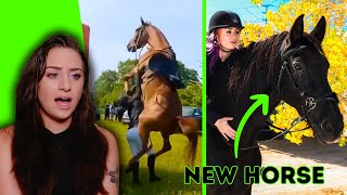 IM GETTING A NEW HORSE 2Raw2Ride Update amp MORE  Raleigh Reacts [upl. by Ennire841]