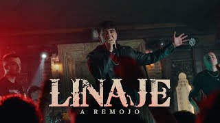 Linaje  A remojo Videoclip oficial [upl. by Enaxor123]