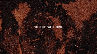 Hozier  Too Sweet Official Lyric Video [upl. by Aicerg185]