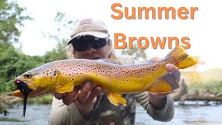 Fly Fishing for BIG Brown Trout with Streamers  Driftless Trout Fishing [upl. by Ecyob196]