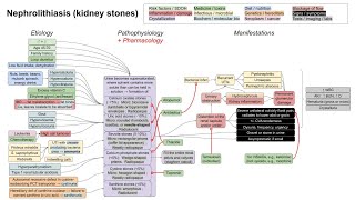 Kidney stones nephrolithiasis mechanism of disease [upl. by Calvo]