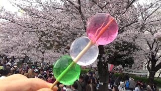 Hanami with Edible Orbeez Dango [upl. by Beaner]