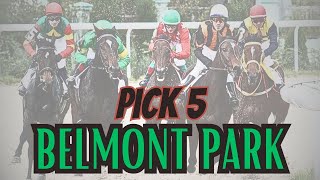 Pick 5 de Belmont Park  Análisis EN VIVO [upl. by Naved]