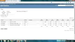 Redmine Time amp Expense 15  Part 2 [upl. by Anem]