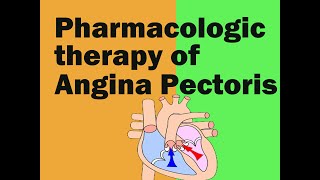 Antianginal drugs pharmacological mechanism of action of nitroglycerin Ranolazine Trimetazidine [upl. by Yllib451]