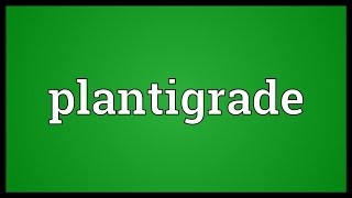 Plantigrade Meaning [upl. by Eedeed]