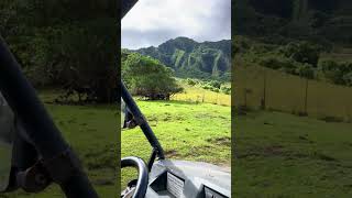 Kuala Ranch in Kaneohe Hawaii USA [upl. by Nolyar]