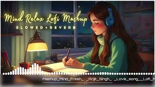 NEW HINDI MASHUP SONG 2024 TOP SONGS [upl. by Bohlen347]