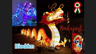 Biodóm Budapest nouvel an chinois  Kínai új év 🐉 [upl. by Mikes]