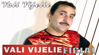 VALI VIJELIE  Te iubesc te iubesc OFICIAL AUDIO TRACK [upl. by Rinaldo]