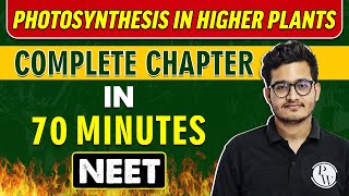 PHOTOSYNTHESIS IN HIGHER PLANTS in 70 minutes  Complete Chapter for NEET [upl. by Yenttirb]