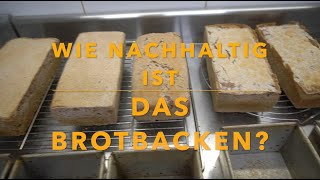 Wie nachhaltig ist das Brotbacken Ein Vergleich zwischen dem Bäckerbrotn und selbstgemachten Brot [upl. by Henricks]