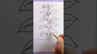 how to draw planthow to draw parts of a plant [upl. by Notsrik]