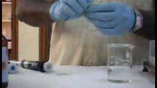 Poly Acrylamide Gel Electrophoresis method [upl. by Leiram824]