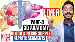 hepatic segments of liver anatomy 3d  blood supply of liver anatomy  nerve supply of liver [upl. by Odnala600]