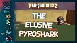 TF2 The Elusive PyroShark [upl. by Sapphera]