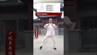 Leg Strengthening Aerobics Simple Moves to Boost Leg Power and Endurance kungfu [upl. by Emilio224]