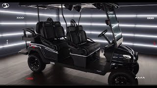 AllNew Bintelli Nexus Street Legal Golf Cart LSV  Feature Video [upl. by Dib]