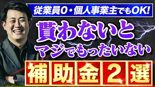 【まだ間に合う】2023年版従業員0・個人事業主でも狙える補助金2選中小企業診断士が解説実際に採択された計画書も配布！ [upl. by Neddra]