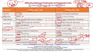 Microbiology 08 Difference Between Prokaryotic and Eukaryotic Cell  Prokaryotes amp Eukaryotes [upl. by Ellevehs328]