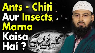 Ants Aur Insects Ka Maarna  Kill Karna Kaisa Hai By Adv Faiz Syed [upl. by Sackville]