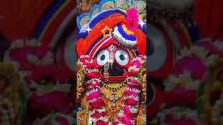 Jagannath Bhajan Status 🙏jagannathbhajan shortsvideo shortsviral [upl. by Menedez]