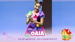 Gașca Zurli  Oaia  Live din spectacolul Am o căsuță mică 20 [upl. by Klimesh]