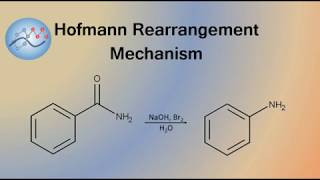 Hofmann Rearrangement Example Mechanism  Organic Chemistry [upl. by Jaquenetta]