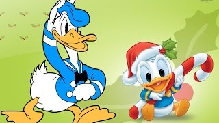 Donald Duck Cartoons Compilation Goofy Donald Duck Cartoons [upl. by Ivie]