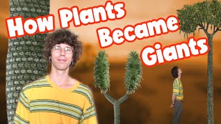 How the First Land Plants Became Huge Trees Early Vascular Plants and the Lycophytes [upl. by Shepp66]