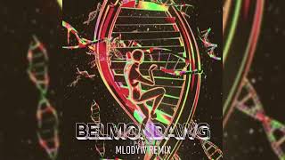 Belmondawg  PSWIS MLODYW REMIX [upl. by Nnoj532]