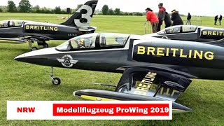 Modellflugzeug amp Modellbau Flugzeug auf der Prowing 2019 [upl. by Gnourt]