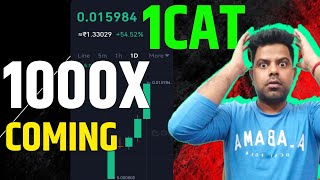 1Cat Coin 1000X  Brc20  1Cat Coin News Today  Bitcoin Cats [upl. by Garin79]