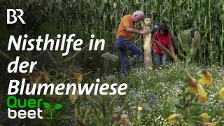 F 3 Nisthilfe in der Blumenwiese [upl. by Quitt100]