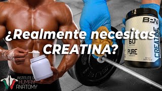 ¿Qué hace la creatina en el cuerpo [upl. by Ander]